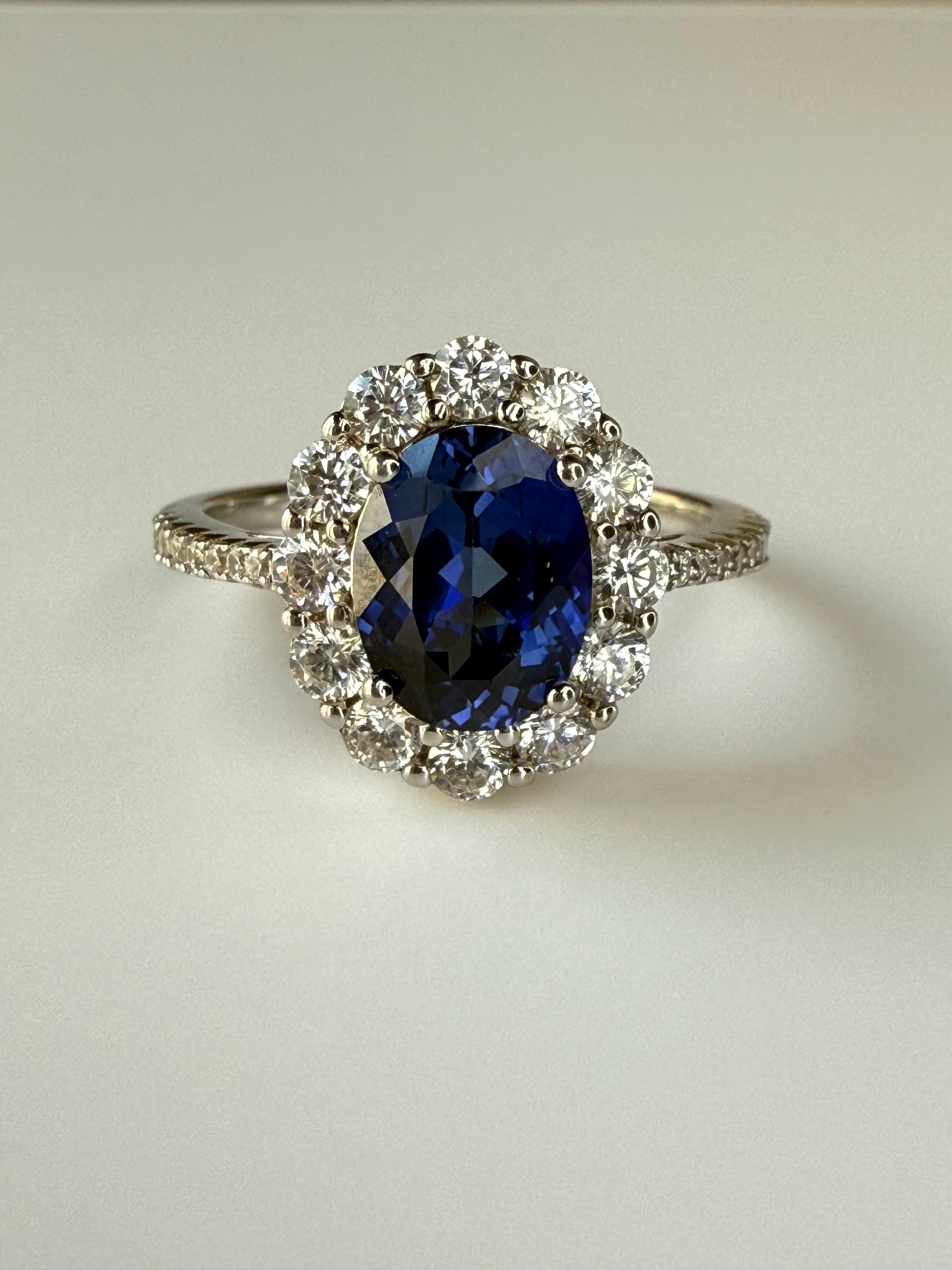 ROYAL OVAL SAPPHIRE HALO RING